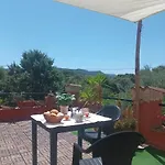 Il Vecchio Lentisco *