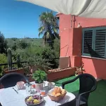 Il Vecchio Lentisco * 알게로