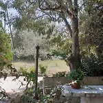 Il Vecchio Lentisco 알게로
