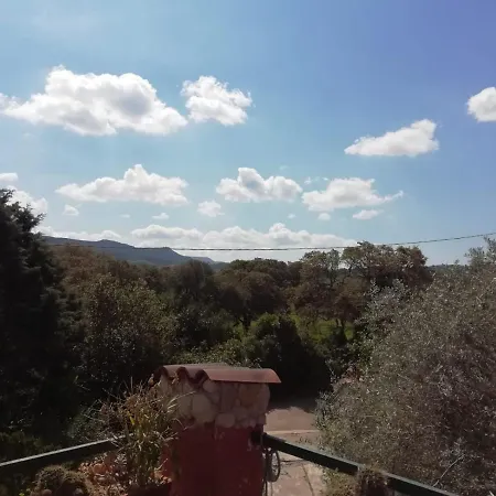 Daire Il Vecchio Lentisco *