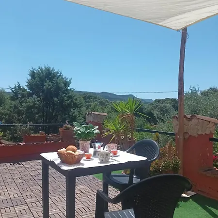 Il Vecchio Lentisco *