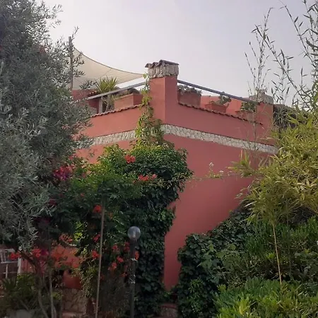 Il Vecchio Lentisco Αλγκέρο