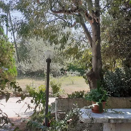 Il Vecchio Lentisco Αλγκέρο