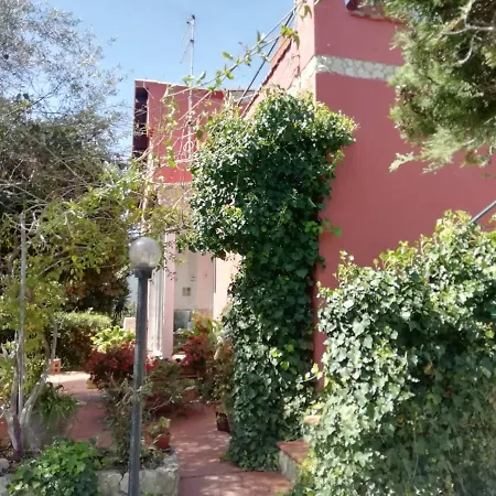 Il Vecchio Lentisco
